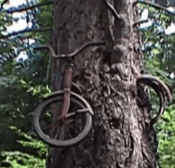 Screen Shot 2016-04-29 at 5.00.20 PM